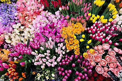 《EA SPORTS FC 24》现已推出 Steam褒贬不一